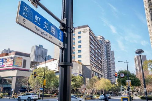 精品道路之虹口魅力行 探訪七條高顏值馬路及其設(shè)施亮點